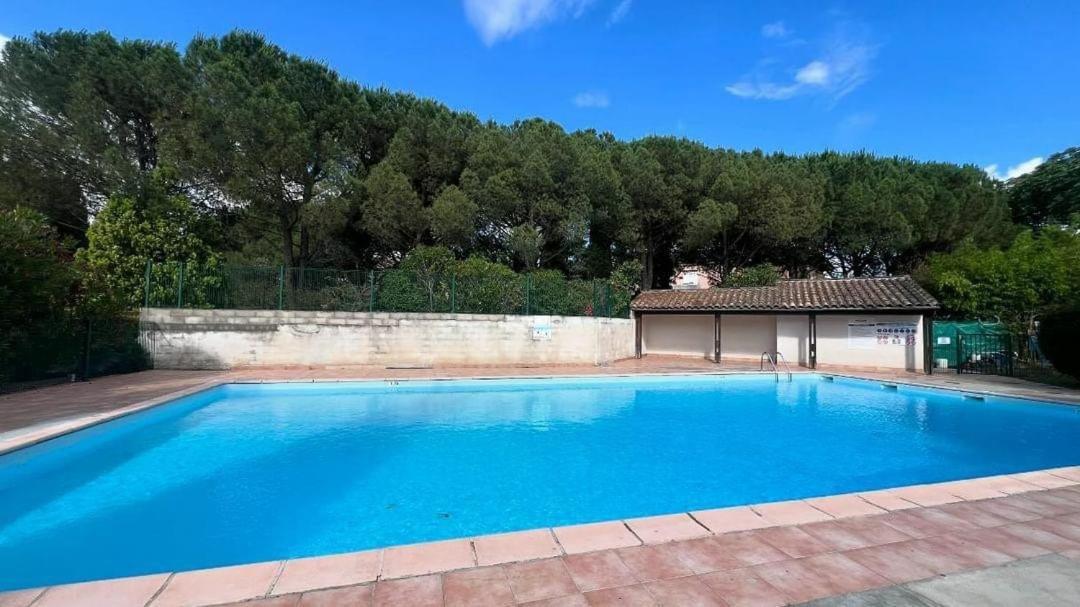 Апартаменти Les Capitouls - Avec Entree Autonome, Clim Neuve, Jardin, Parking Prive & Sa Piscine ! - Тулуза Екстер'єр фото