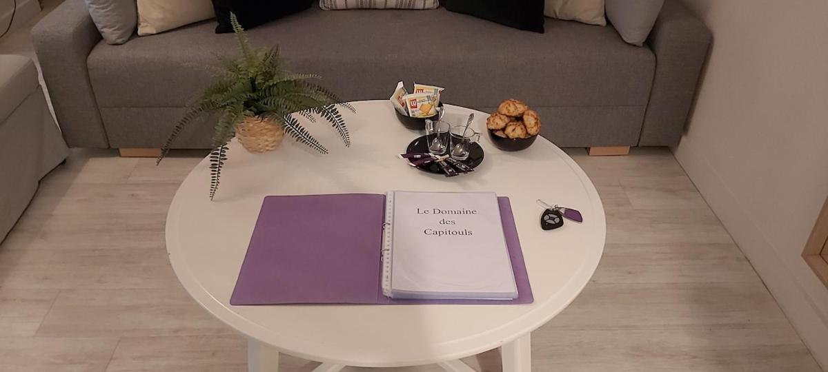 Апартаменти Les Capitouls - Avec Entree Autonome, Clim Neuve, Jardin, Parking Prive & Sa Piscine ! - Тулуза Екстер'єр фото