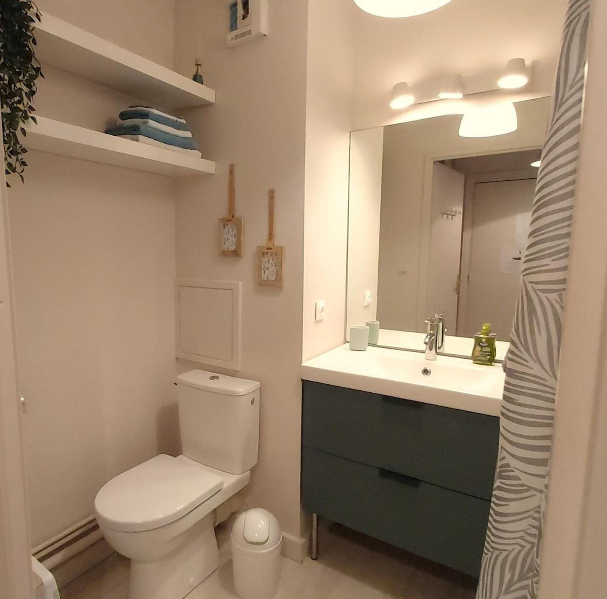 Апартаменти Les Capitouls - Avec Entree Autonome, Clim Neuve, Jardin, Parking Prive & Sa Piscine ! - Тулуза Екстер'єр фото